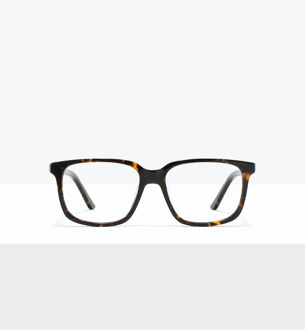 Max - Image 7