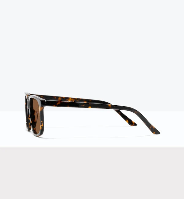 Max - Image 11