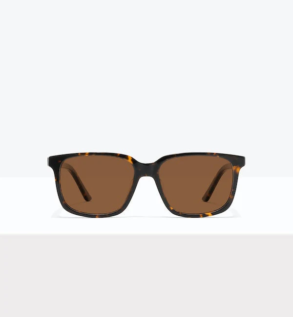 Max - Image 7